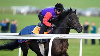 The King will have his first runner in the famous royal silks on Thursday