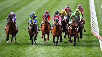 The Melbourne Cup: The horse race that captivates and divides Australia