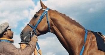 The Most Famous and Successful Horse Racing Horses