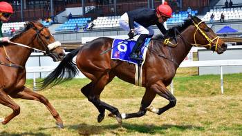 The Rock Strikes At Turffontein