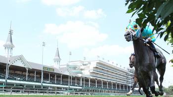 The Science of Horse Racing: What is a Turf Hoof?