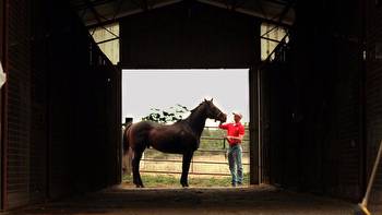 The story behind dual Stradbroke Handicap winner Daybreak Lover