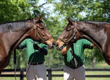 The Sweet Sisters, One of Only Two Sets of Full-Siblings to Win the Breeders' Cup