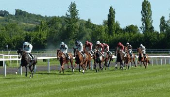 The Thrill of Horse Racing: Deciphering the Odds in the Sport of Kings