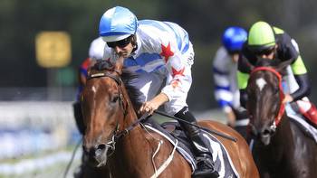 The ultimate late mail, tips, analysis for Expressway and Australia Stakes day
