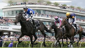 The ultimate late mail, tips, analysis for Tancred Stakes/Australian Cup day