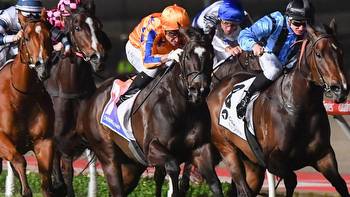 The Valley review: Horses to follow and forgive out of Moir Stakes night