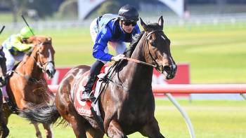 The Valley tips, best bets, preview for Moir Stakes meeting