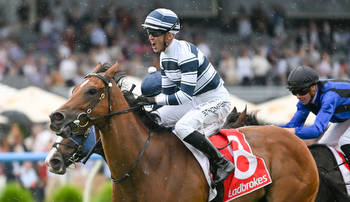 The Verdict: Manikato Stakes