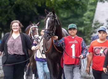 The Week In Review: Breeders' Cup Berths Not All About Speed Numbers