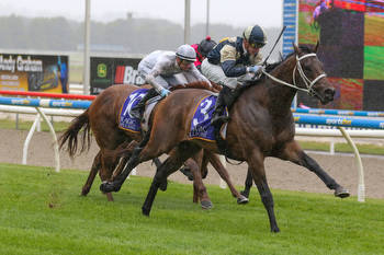 The Wrap: Ballarat Cup day