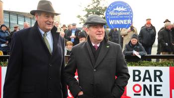 Thedevilscoachman advertises Irish National claims at Limerick