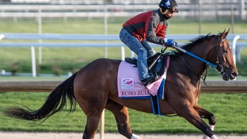 These 2022 Kentucky Oaks horses are the best in the rain, mudders
