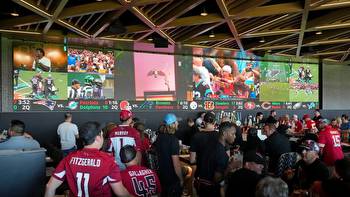 These sportsbooks made the most, least off gamblers in Arizona in 2023