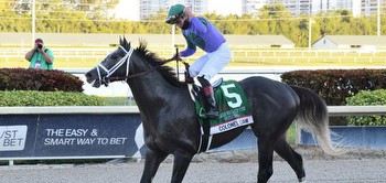 They're 3 years old Sunday, ready to launch Kentucky Derby bids