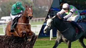 Things we learnt over Christmas from Kempton, Leopardstown, Limerick and more