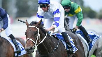 ‘This year's Epsom Handicap and Cox Plate winner is back!'