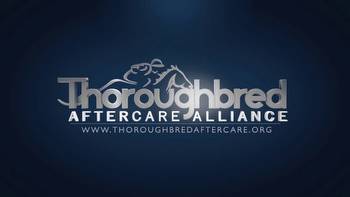 Thoroughbred Aftercare Alliance Named Official Aftercare Partner Of Breeders' Cup World Championships