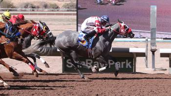 Thoroughbred and quarter horse racing season returns to SunRay Park