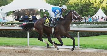 Thoroughbred horse, born and raised near Pine Grove, a Kentucky Derby contender