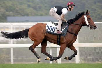 Three Group 1 races in Hong Kong highlight weekend horse racing