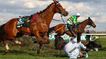 Three horses dead, 118 activists arrested: Fatal falls at England's most famous horse race Is that still up to date? News