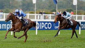 Three horses to follow for the autumn