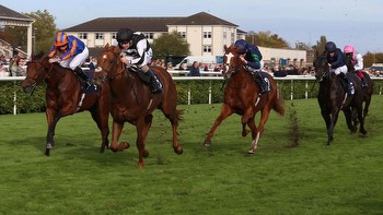 Three horses who will relish testing conditions at Doncaster on Saturday