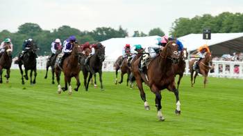 Three of the best: Juddmonte stars who have lit up Royal Ascot