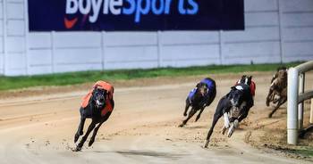 Three-time Irish Derby winner calls for Netflix series to rescue greyhound racing in face of “sad” opposition