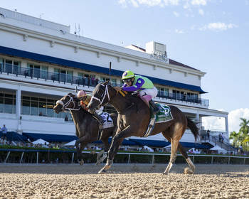Three Witches Wins 2nd Straight, Breeders' Cup Next