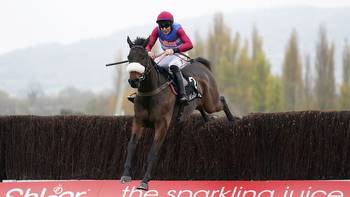 Threeunderthrufive sights set on Coral Gold Cup