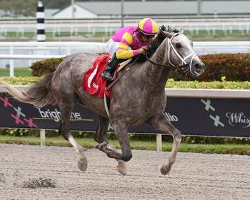 Time For Tapit Trice To Make Kentucky Derby Impact