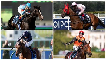 Timeform Awards 2023: How the champions fared on the clock