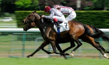 Timeform betting guide for French horse racing
