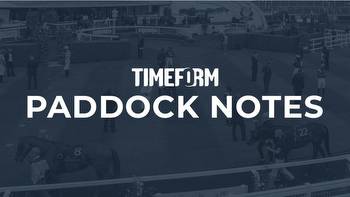 Timeform Paddock Notes from York and Newbury including Chesspiece looking an early St Leger candidate
