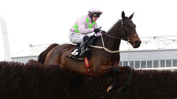 Timeform ratings reaction following Gaelic Warrior's impressive chasing debut