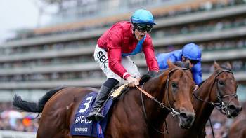 Timeform's David Cleary's fast analysis of the Champion Stakes
