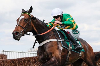 Tingle Creek Chase Trends: Stats galore ahead of Sandown Grade 1