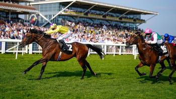 Tips at Ascot and York on King George day