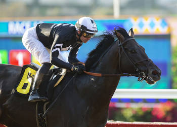 Tizamagician Tries to Double up in Del Mar’s Cougar II Sunday