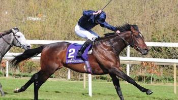 Today on Sky Sports Racing: Bolshoi Ballet and Missed The Cut star in Churchill Stakes at Lingfield on Saturday
