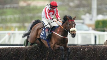 Today's Horse Racing Tips For Saturday 27th January 2024: best bets and predictions Cheltenham and Doncaster