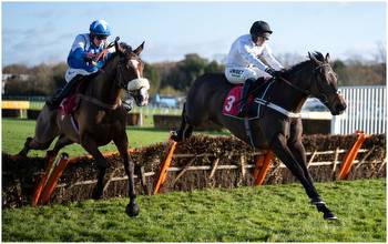 Tolworth Hurdle: Constitution Hill among 9 entries for Sandown