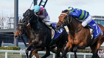 Tony Gollan rules out Cox Plate start for Antino