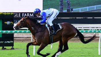 Tony Gollan’s best ever Magic Millions chance