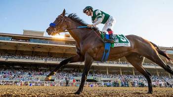 Top 5 Arizona Racebooks for Breeders Cup Betting