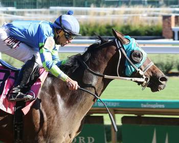 Top 5 Breeders' Cup Dirt Mile Picks