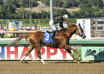 Top 5 Breeders' Cup Filly & Mare Sprint Picks