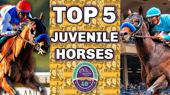 Top 5 Breeders' Cup Juvenile Contenders: October 15, 2023